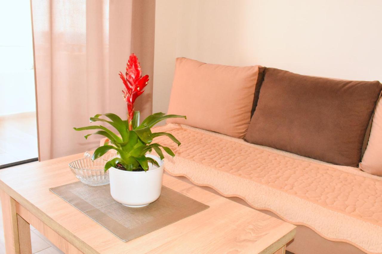 Studio Apartments Jupo Ulcinj Extérieur photo